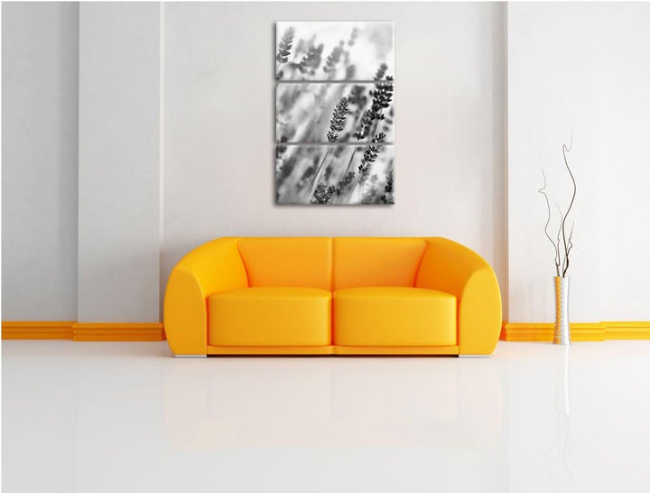 Pixxprint Schöner Lavendel im sanften Licht als Leinwandbild/Grösse: 3 Teilig (120x80) cm/Wandbild/K