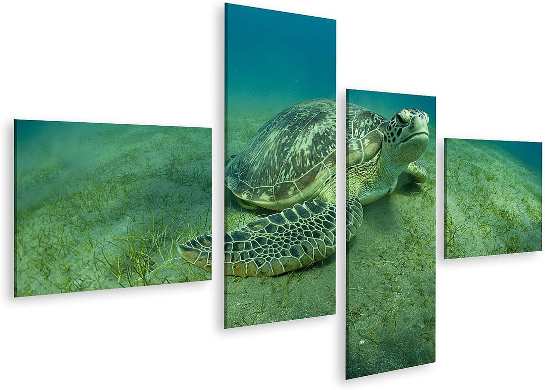 islandburner Bild auf Leinwand Grüne Schildkröte Unterwasser Bilder Wandbilder Poster Leinwand 150x8