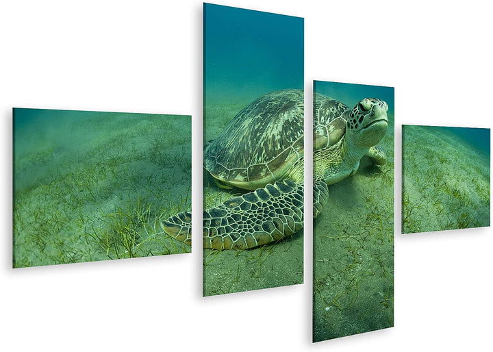islandburner Bild auf Leinwand Grüne Schildkröte Unterwasser Bilder Wandbilder Poster Leinwand 150x8