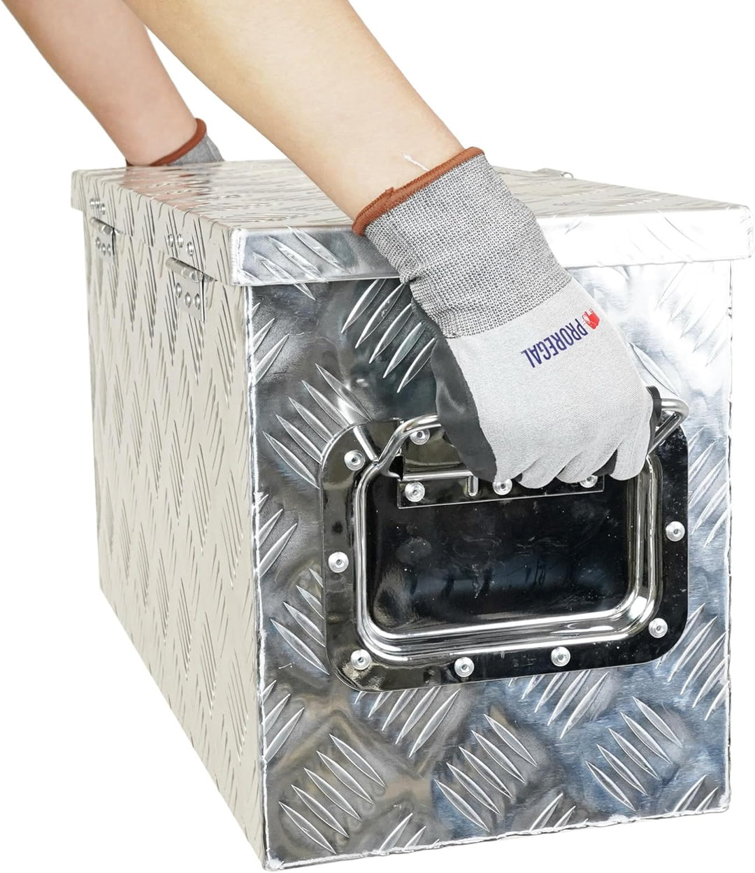 PROREGAL Deichselbox TITAN Anhängerbox für PKW Anhänger Alubox abschliessbar mit Deckel & 2 Schlüsse