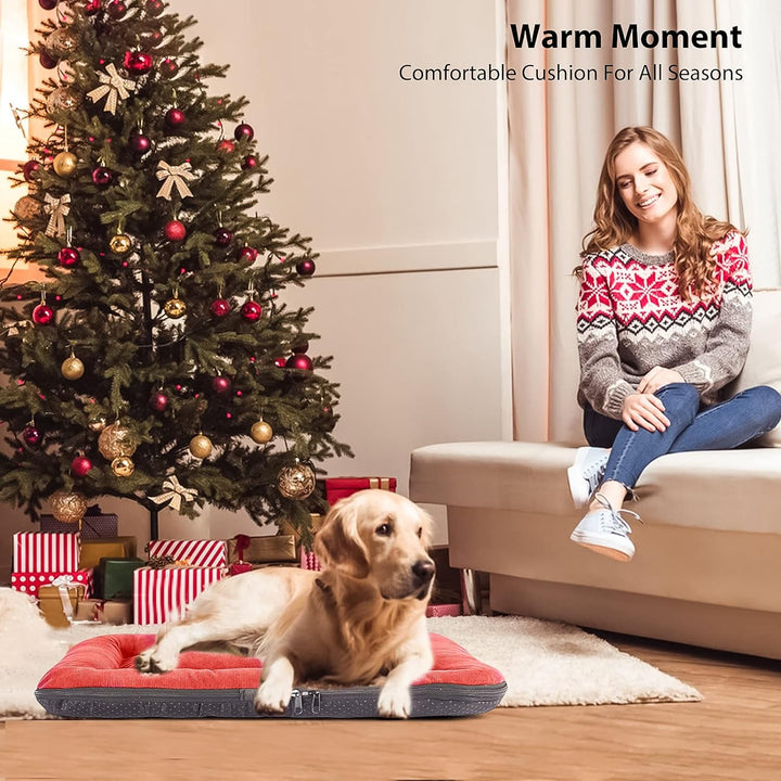 PETCUTE Hundebett Mittelgrosse Hunde,Waschbar Hundekissen mit Abnehmbar Bezug,Super Weiches Hundesof