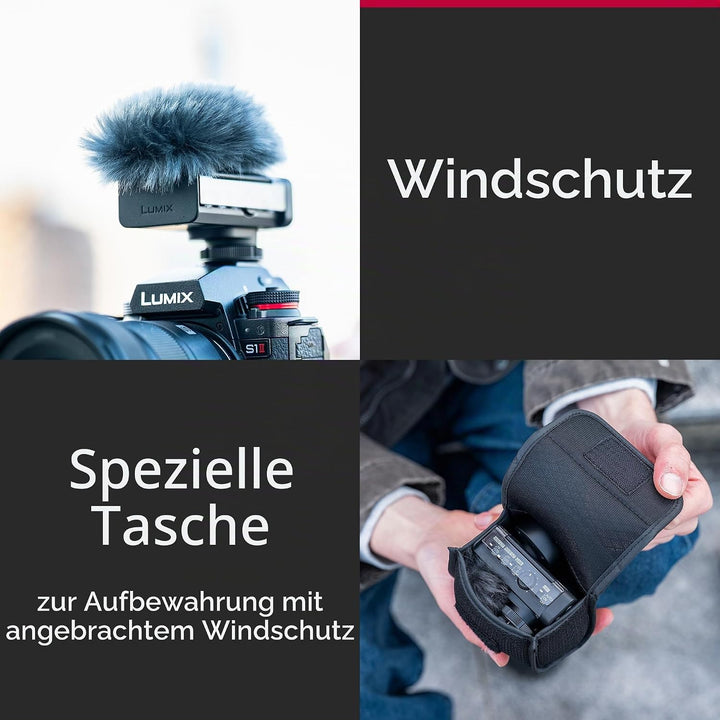 Panasonic Lumix DMS1 digitales Richtrohrmikrofon, 32-Bit-Schwimmer, 4-Kanal-Audio, 6-Richtungsmodi,