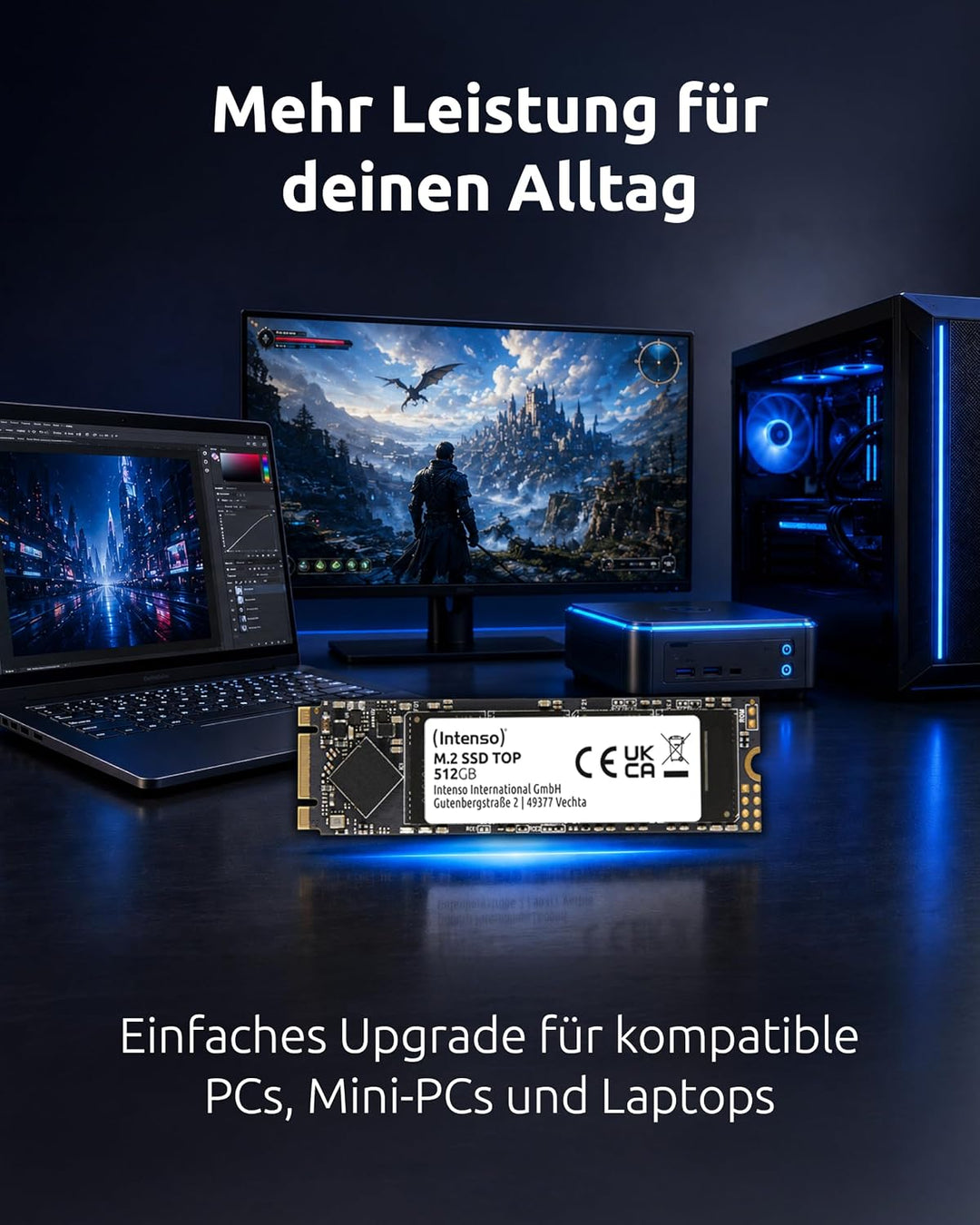 Intenso Interne M.2 SSD SATA III Top, 1 TB, 550MB/Sekunde 1TB M.2, 1TB M.2