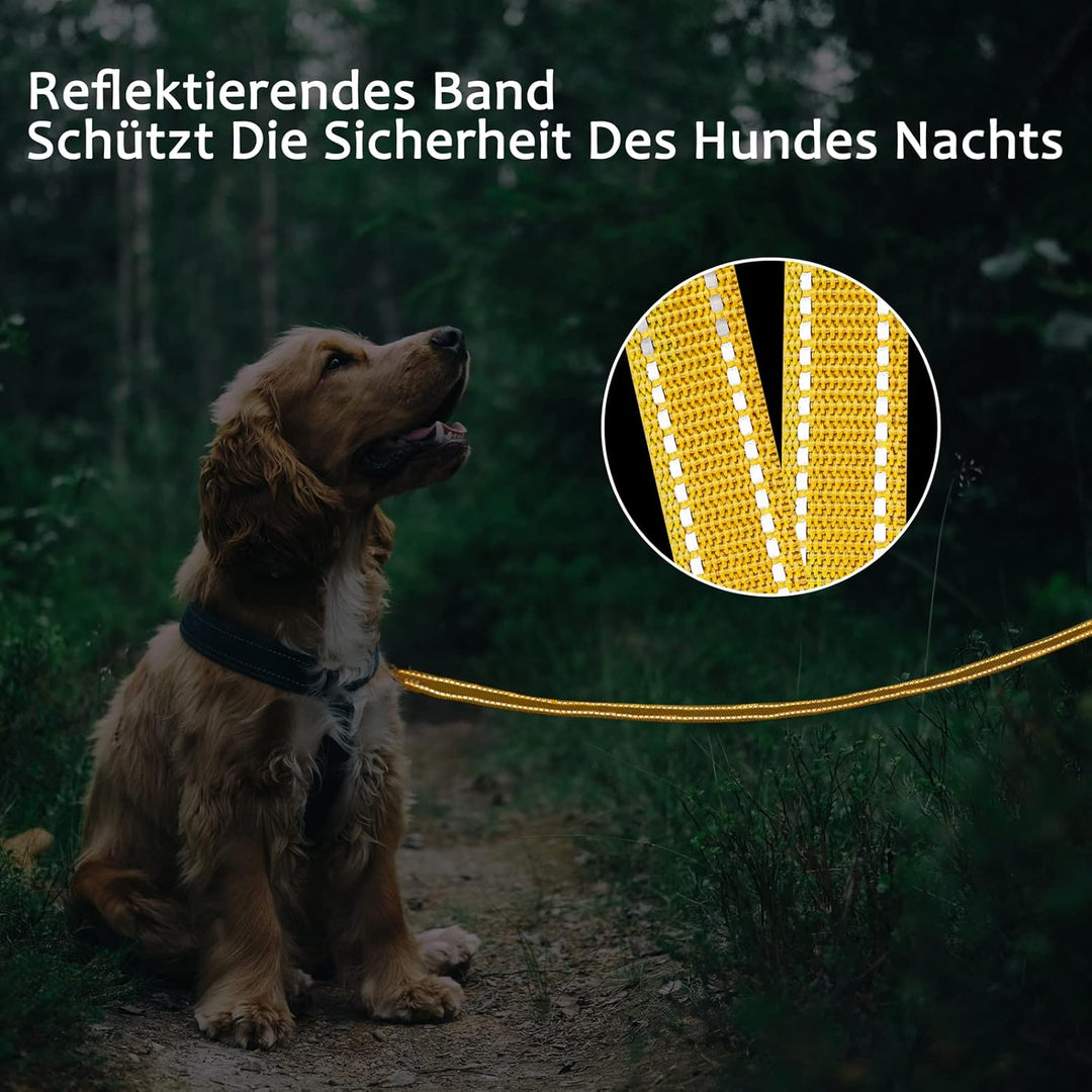 Demigreat Schleppleine für Hunde, 3m / 5m / 10m / 15m / 20m Robuste Lange Hundeleine Reflektierend T