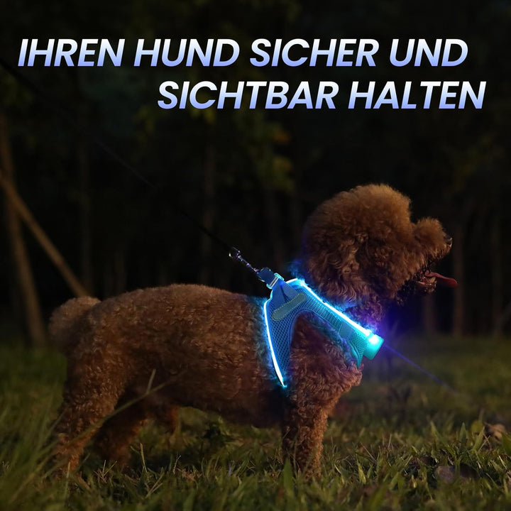 PcEoTllar Hundegeschirr Leuchtend, Leuchtgeschirr LED Aufladbar & Reflektierendes, Beleuchtetes Leuc