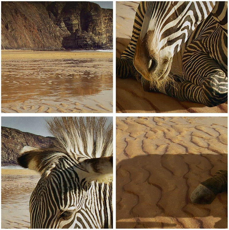 Bilder auf Leinwand 100x70cm Leinwandbild Zebra Strand Landschaft Gross Wanddeko Bild Schlafzimmer K