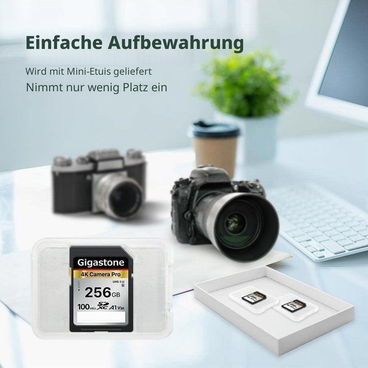 Gigastone SDXC-Speicherkarte, 256 GB, 4 K Kamera Pro Serie, Übertragungsgeschwindigkeit bis zu 100 M