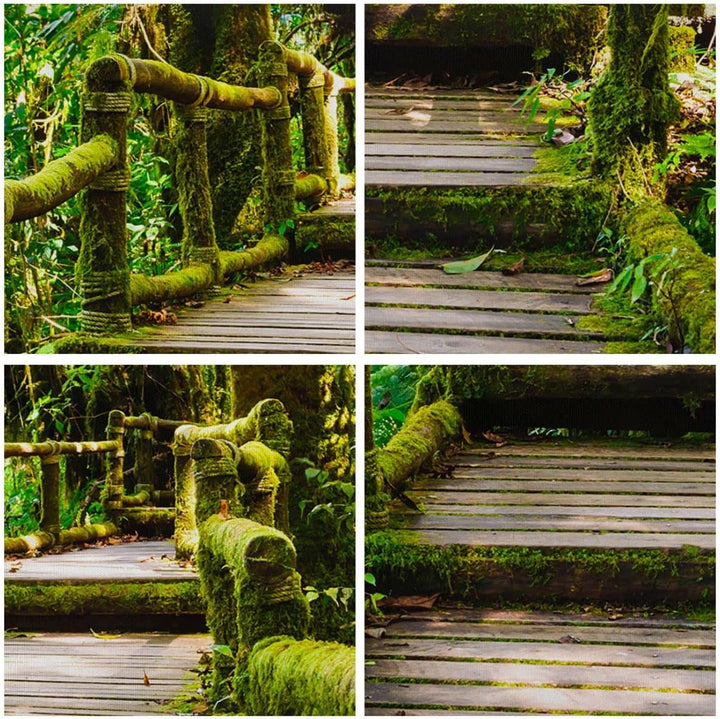 ARTTOR Bilder auf Leinwand Asien natur park brücke Leinwandbild 70x50cm Wandbilder Dekoration Wohnzi