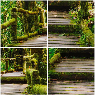 Wandbilder Dekoration Wohnzimmer Asien natur park brücke Panorama Bilder auf Leinwand 120x50cm Leinw