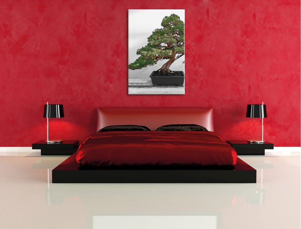 Pixxprint Bonsai Baum auf Holztisch als Leinwandbild/Grösse: 120x80 / Wandbild/Kunstdruck/fertig bes