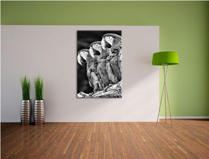 Papageien auf AST als Leinwandbild/Grösse: 100x70 / Wandbild/Kunstdruck/fertig bespannt, 100x70