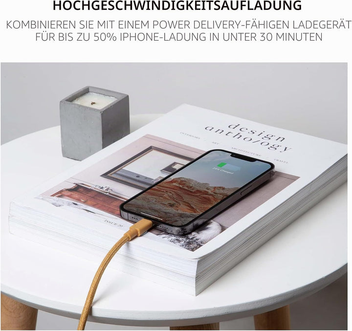 Native Union Belt Cable USB-C auf Lightning – 10ft Ultrastarkes, Verstärktes Kabel [MFi-Zertifiziert
