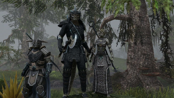 The Elder Scrolls Online - [PC/Mac]