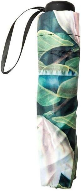 LUCKYWEATHER Regenschirm Taschenschirm Mini Damen Motiv Magnolien I Taschenschirme klein und stabil