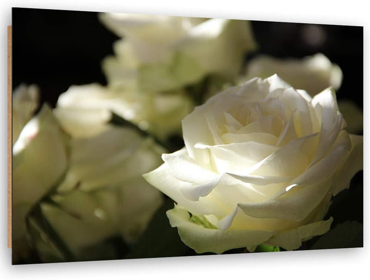 Feeby Dekobild Pflanze Deko Wand Kunstdruck Blume Beige 70x50 cm M14566 70x50 cm, M14566 70x50 cm