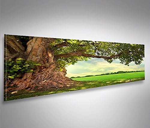 islandburner Bild Bilder auf Leinwand Alter Baum Landschaft Natur Grün Panorama XXL Poster Leinwandb