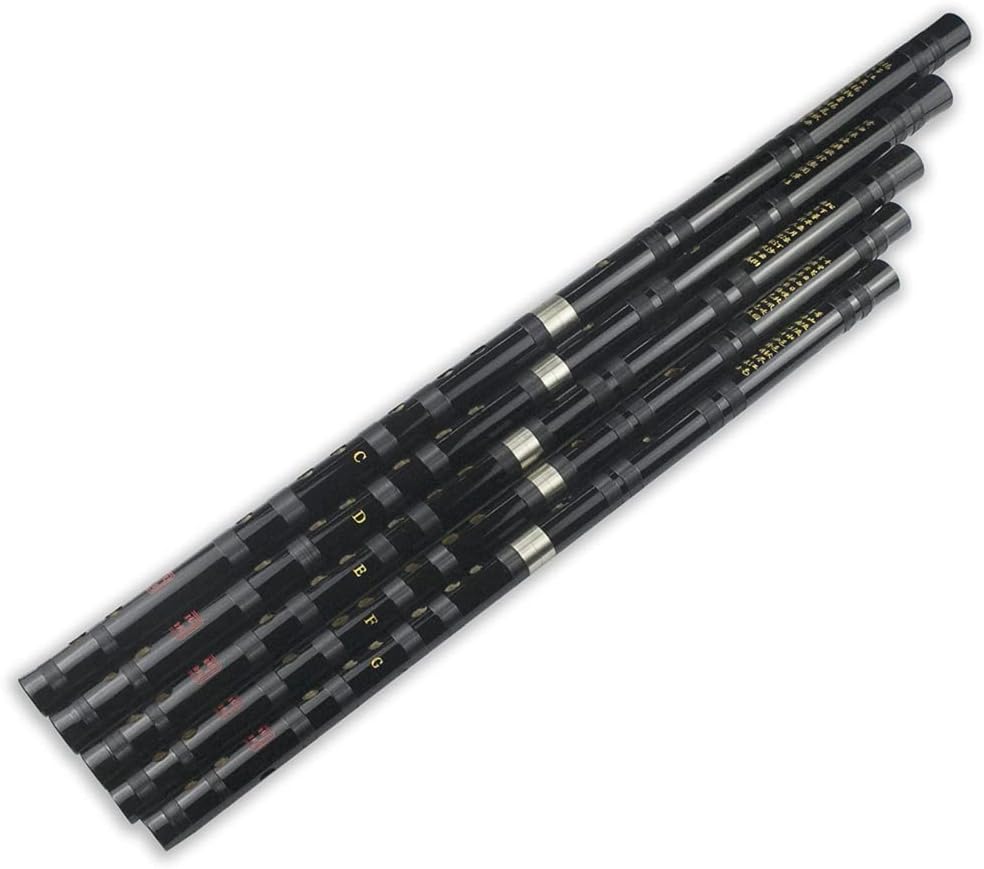 D Key Dizi Black Bitter Bamboo Flöte Chen Qing Flöte mit gratis Membran & Kleber & Protektor Set Tra