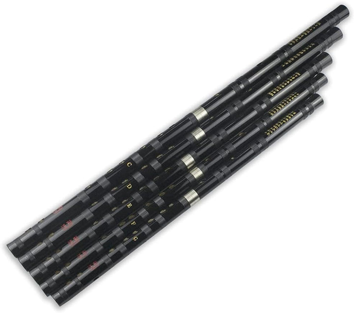 D Key Dizi Black Bitter Bamboo Flöte Chen Qing Flöte mit gratis Membran & Kleber & Protektor Set Tra