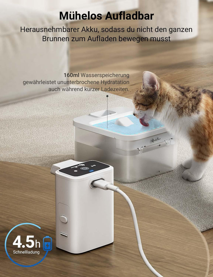 Katzenbrunnen Kabellos, Trinkbrunnen für Katze Kabellos mit Bewegungsmelder, DownyPaws 2.5L Batterie