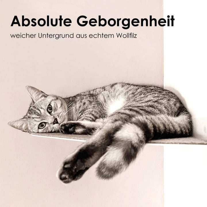 ChapoNero Katzenliege &amp; Kletterstufe mit Filzauflage für Wandecken | Wandliege für Katzen | Katzenst