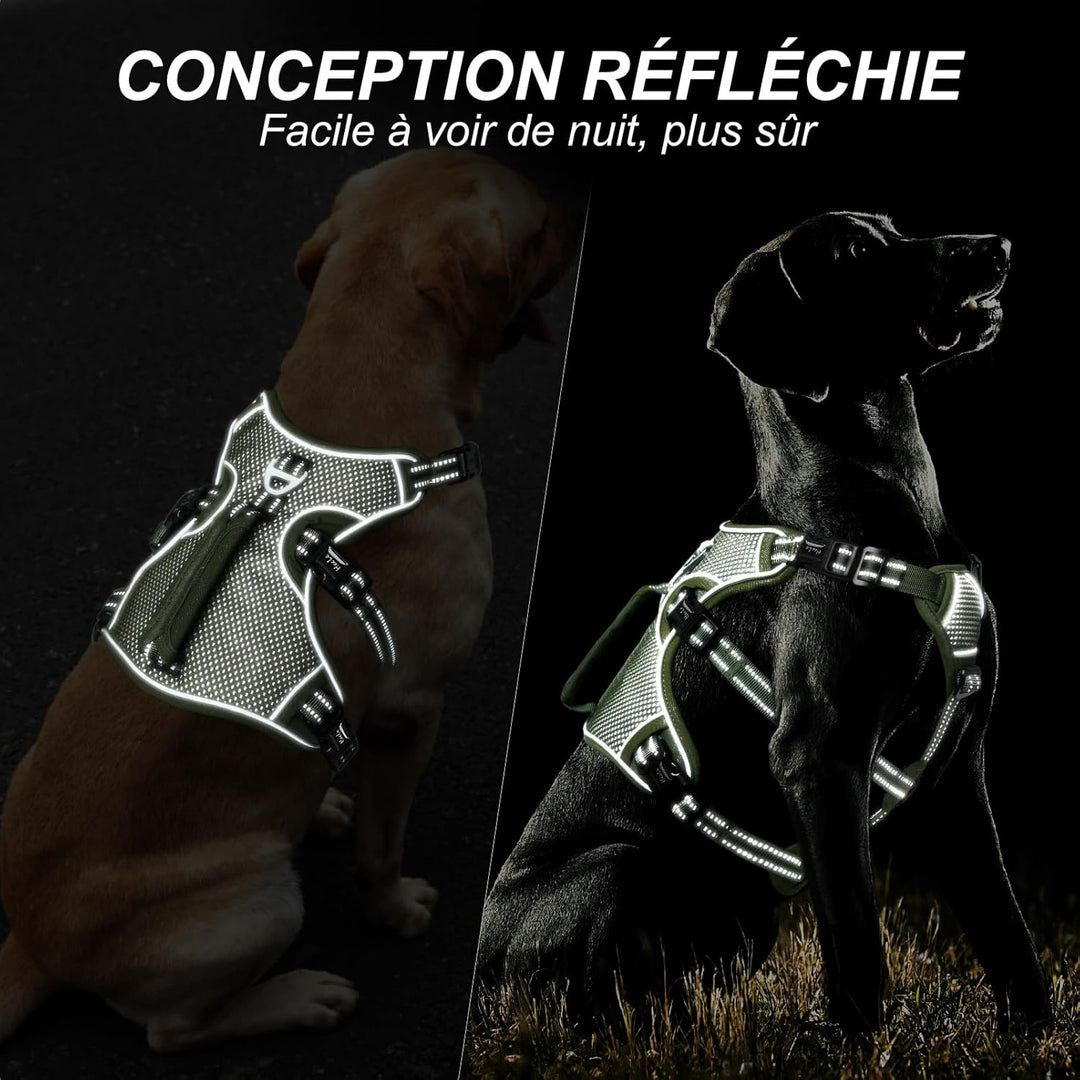 HEELE Hundegeschirr, Ausbruchsicher, Schnalle im Halsbereich, Reflektierend, Brustgeschirr mit Robus