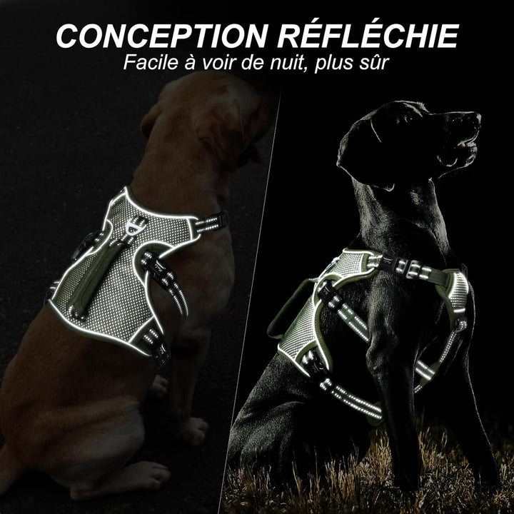 HEELE Hundegeschirr, Ausbruchsicher, Schnalle im Halsbereich, Reflektierend, Brustgeschirr mit Robus