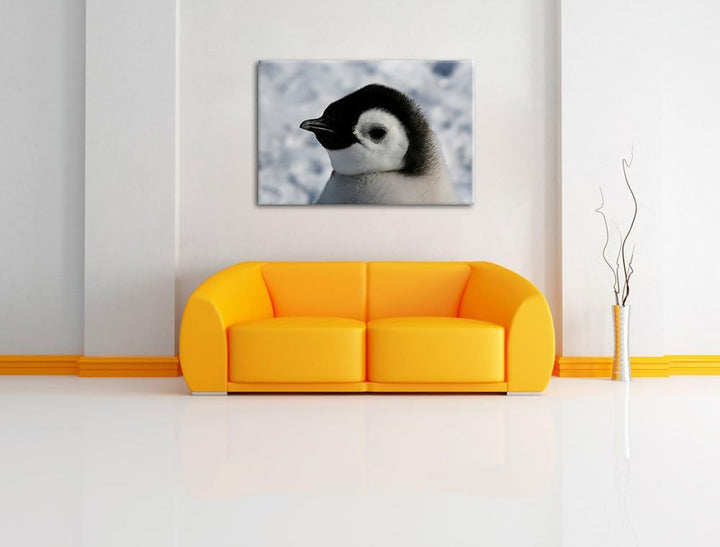drei Kaiserpinguinküken Leinwand, XXL riesige Bilder fertig gerahmt mit Keilrahmen, Kunstdruck auf W