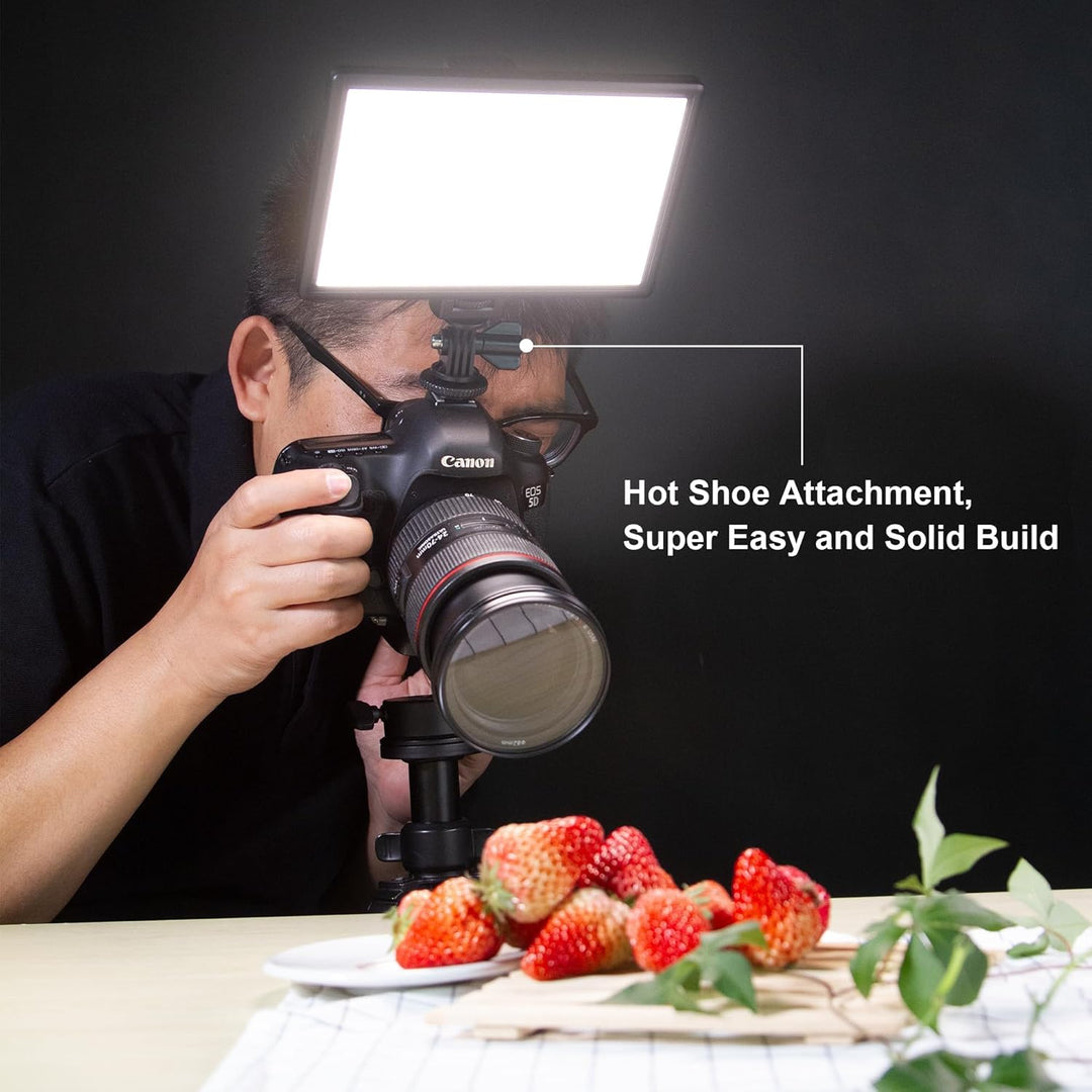 VILTROX L116T 5600K / 3300K LED Licht Panel Dimmbare Video Licht Kit für DSLR Kamera ( ohne Akku)