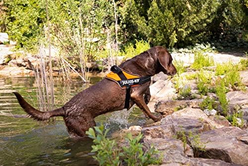 JULIUS K-9, IDC Powair Hundegeschirr, Grösse: 3XS / Baby 1, Orange Orange 3XS/Baby 1, Orange 3XS/Bab