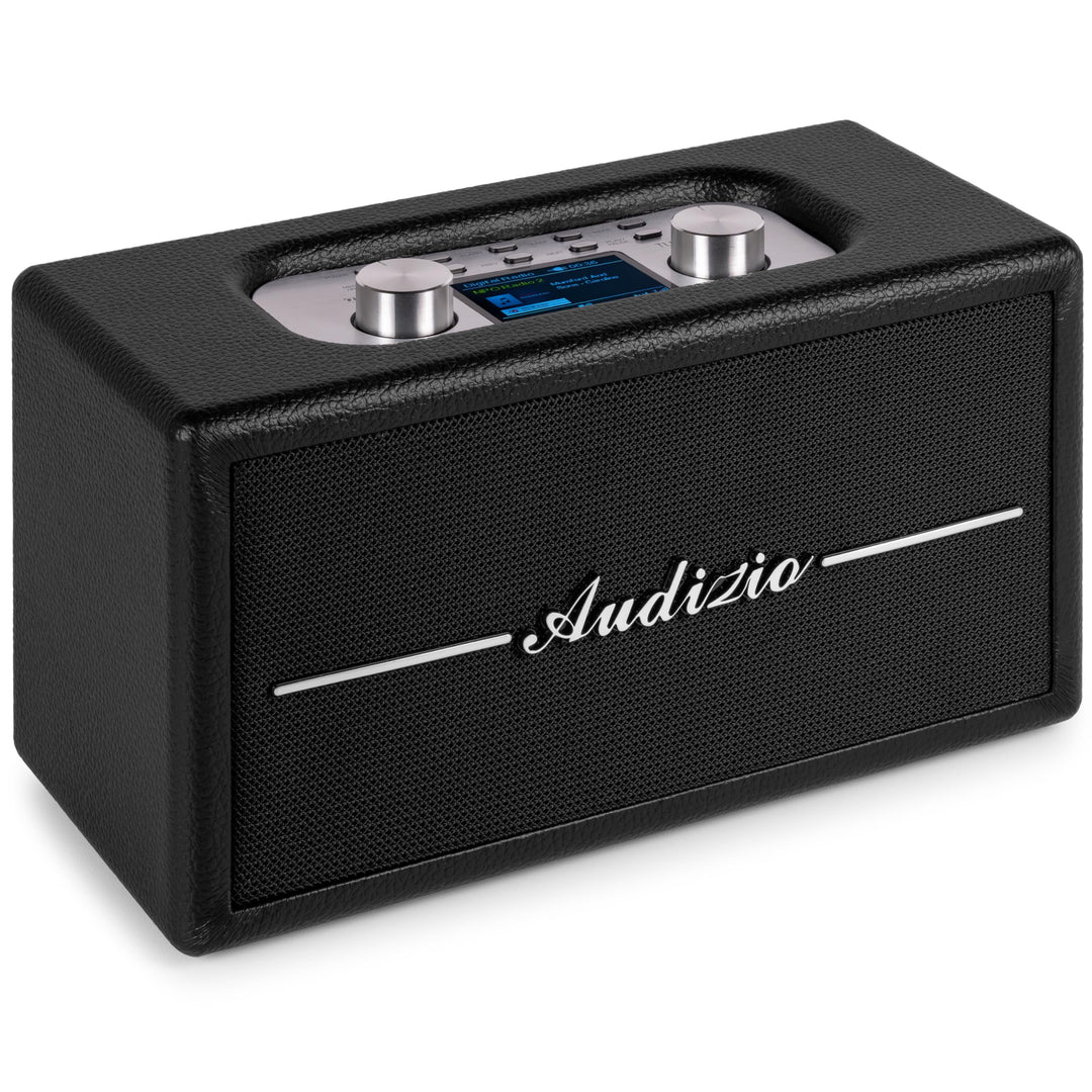 Audizio Tune60, DAB Radio mit Bluetooth Lautsprecher, Fernbedienung, FM, 40 Watt, Batterie- Netzbetr