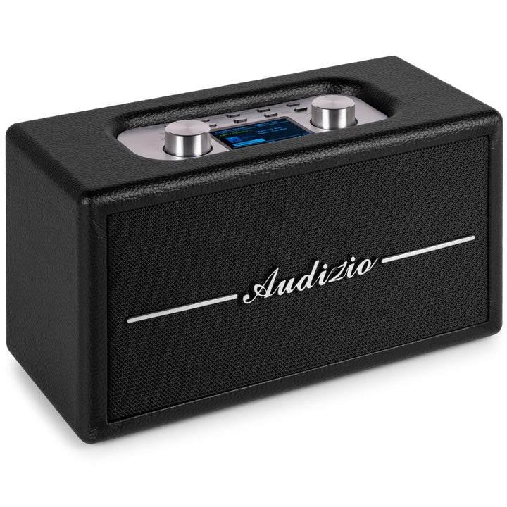 Audizio Tune60, DAB Radio mit Bluetooth Lautsprecher, Fernbedienung, FM, 40 Watt, Batterie- Netzbetr