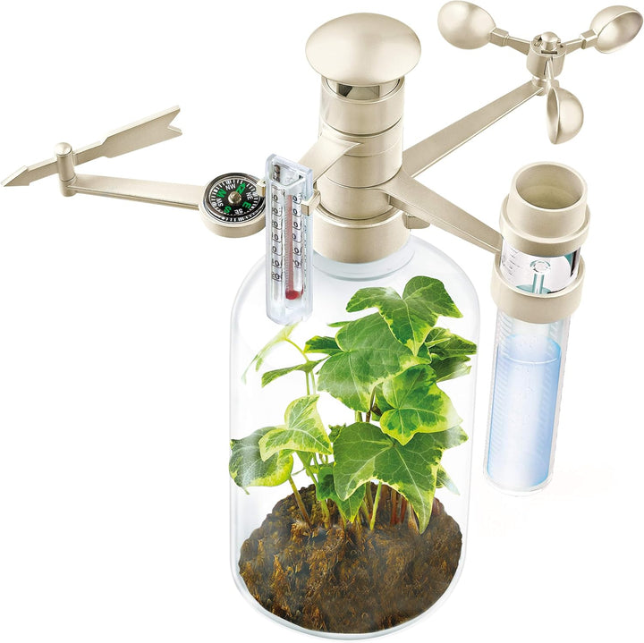 4M 4367 Green Science Weather Station Einzeln, Einzeln