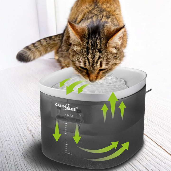 Green Blue Automatischer Wasserspender für Haustiere | Trinkbrunnen für Hunde und Katzen | 3L Fassun