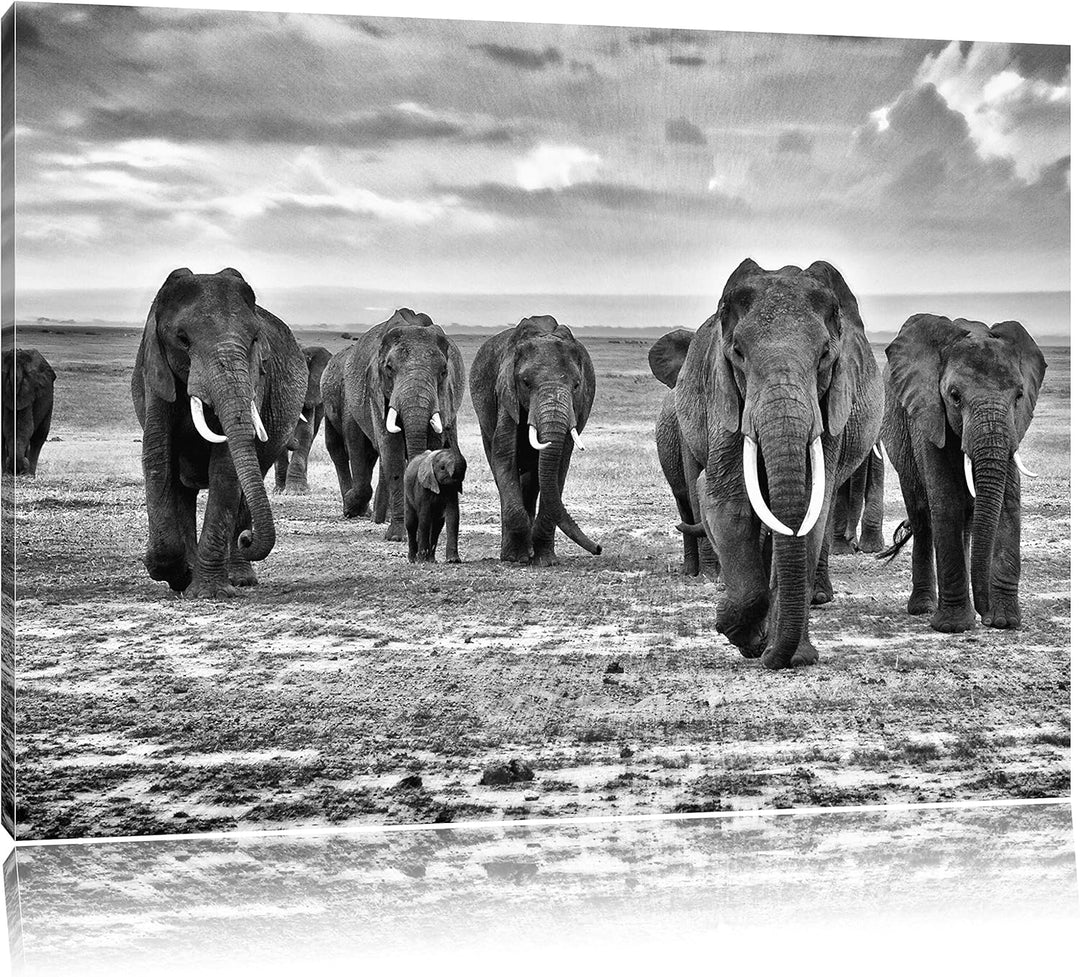 Pixxprint Elefanten Familie in der Savanne als Leinwandbild/Grösse: 100x70 cm/Wandbild/Kunstdruck/fe