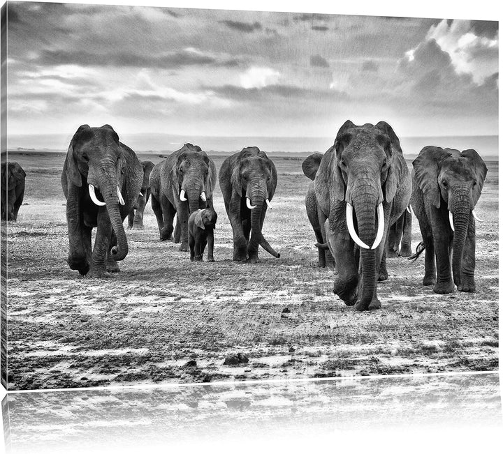 Pixxprint Elefanten Familie in der Savanne als Leinwandbild/Grösse: 100x70 cm/Wandbild/Kunstdruck/fe