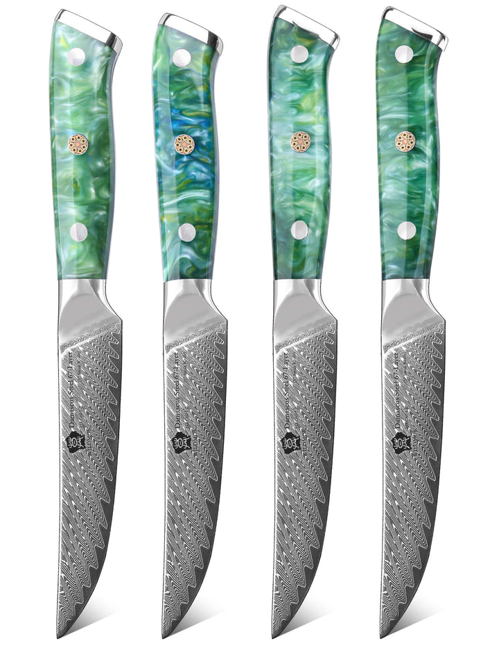 WILDMOK Steakmesser, 13cm nicht gezahnt, Steakmesser-Set mit 4 Stück, Steakmesser aus japanischem Da