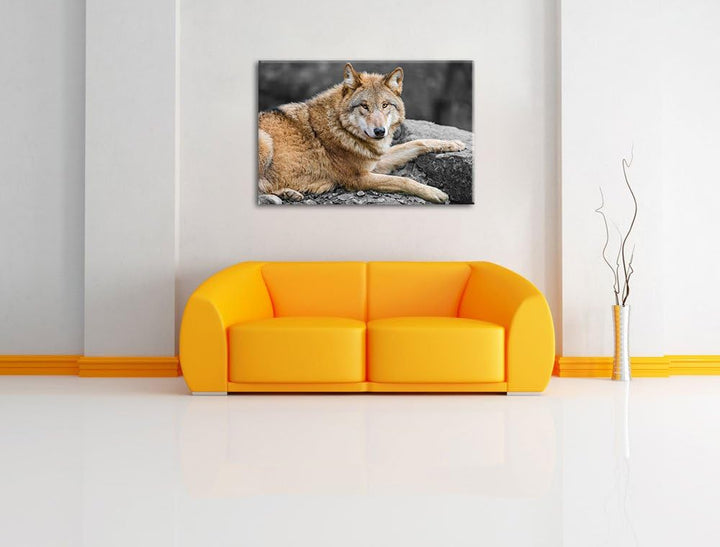 stolzer Wolf auf Stein schwarz/weiss auf Leinwand, XXL riesige Bilder fertig gerahmt mit Keilrahmen,