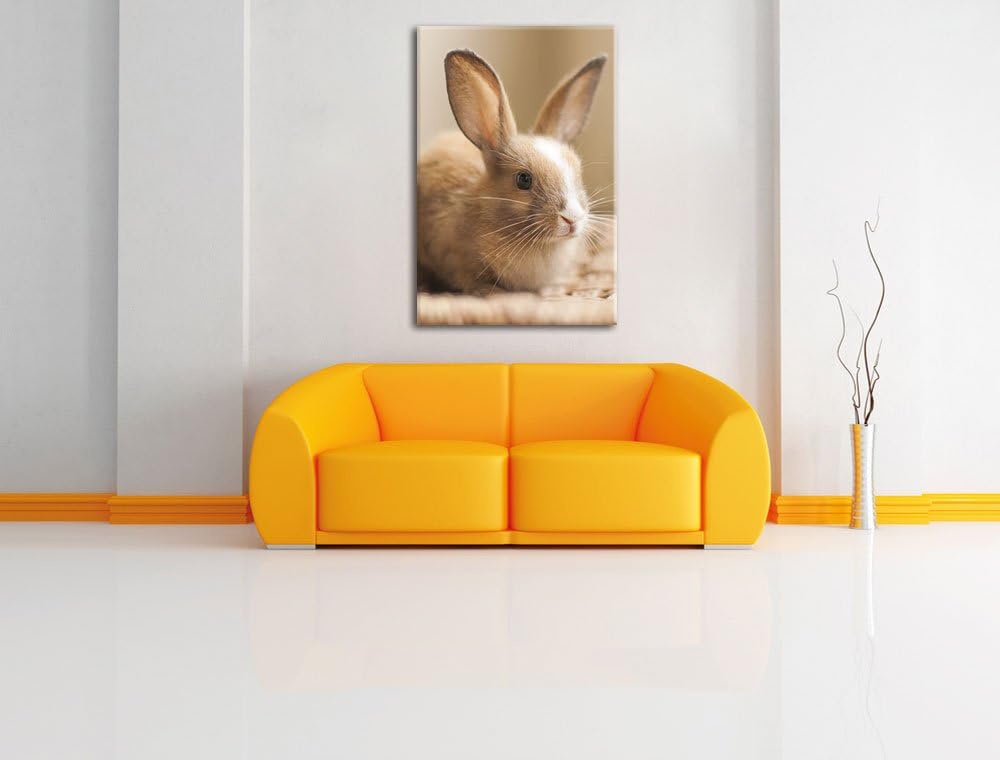 Süsses Kaninchen, Format: 100x70 auf Leinwand, XXL riesige Bilder fertig gerahmt mit Keilrahmen, Kun