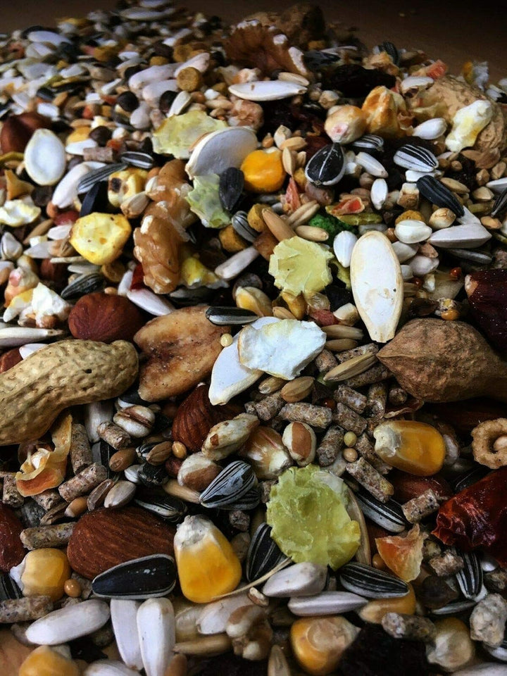 cura-canin 10 kg Premium Eichhörnchen Super - Food Eichhörnchenfutter der Spitzenklasse Streufutter