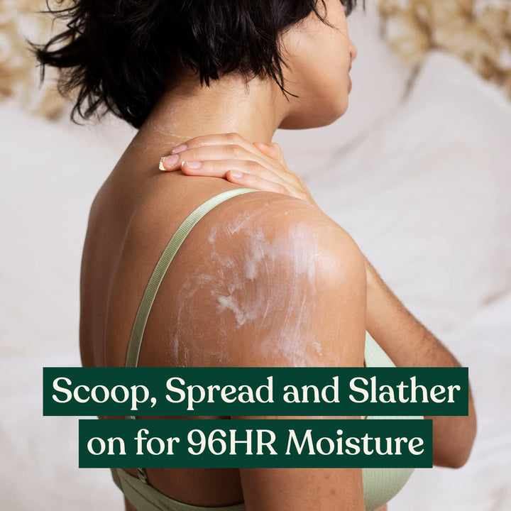 The Body Shop Satsuma Body Butter, 13.5 Ounce by The Body Shop 399.24 ml (1er Pack), 399.24 ml (1er