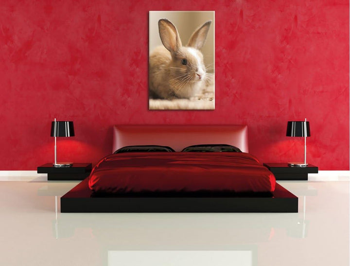 Süsses Kaninchen, Format: 100x70 auf Leinwand, XXL riesige Bilder fertig gerahmt mit Keilrahmen, Kun