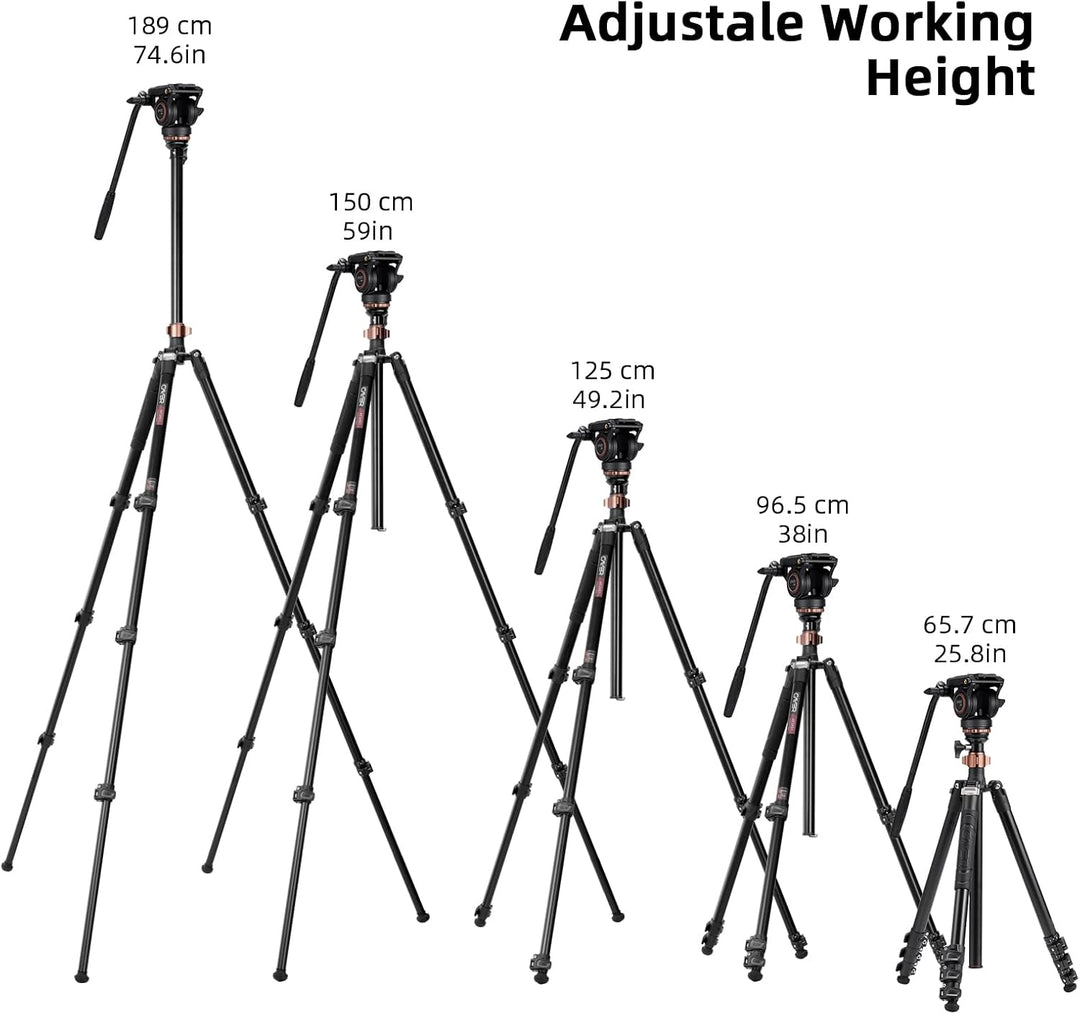 Professionelles Video-Stativ-Einbeinstativ-Kit, Cayer AF2451 67-Zoll-Aluminium-Teleskop-Flip-Lock-St
