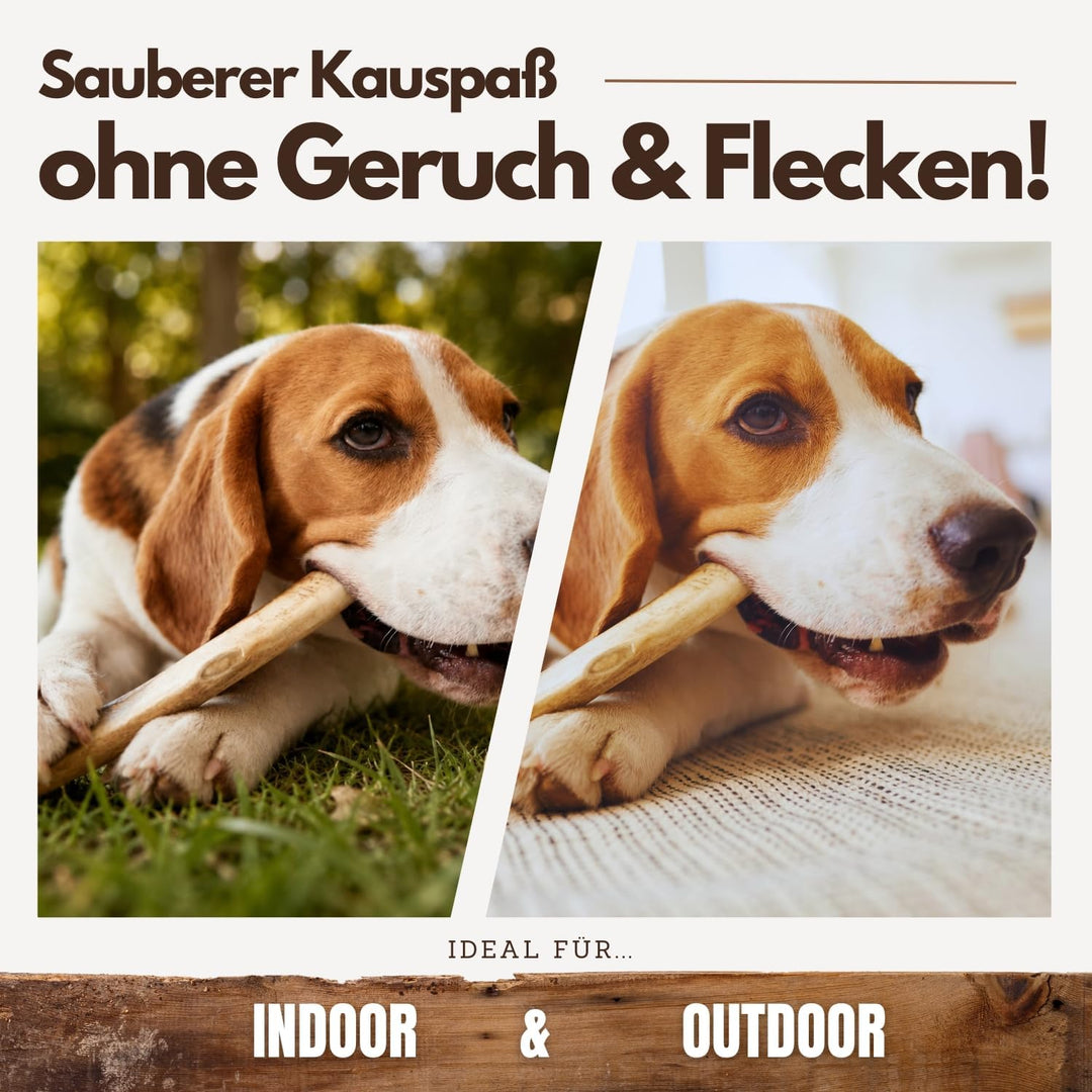 PetLove Kaffeeholz für Hunde • Kauholz Hund als Hundespielzeug &amp; Zahnpflege • Holzknochen für Hund •