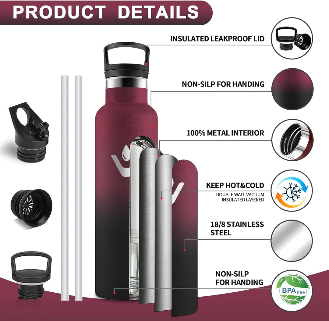 HoneyHolly Trinkflasche Edelstahl, 750 ML BPA-Frei, Thermosflasche, Auslaufsichere Isolierflasche Do