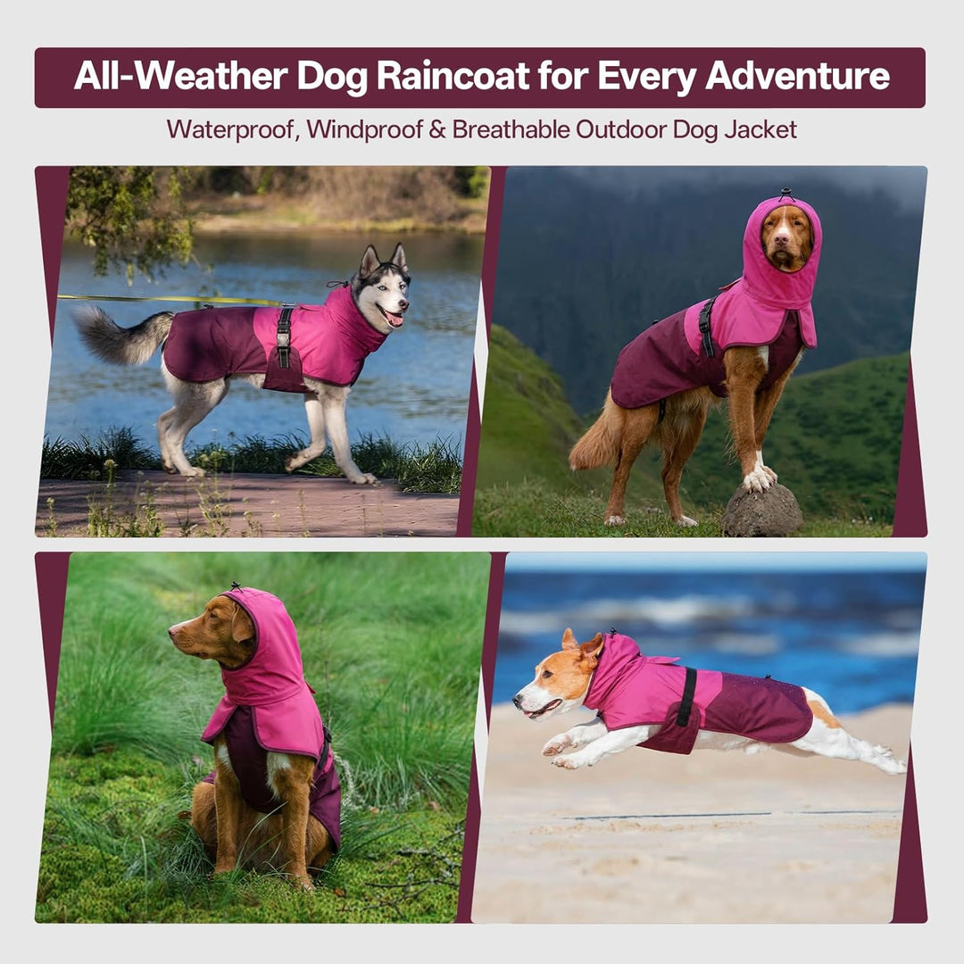 Hunde-Regenmantel für mittelgrosse Hunde mit Kapuze, wasserdicht, reflektierend, mit verstellbarem K