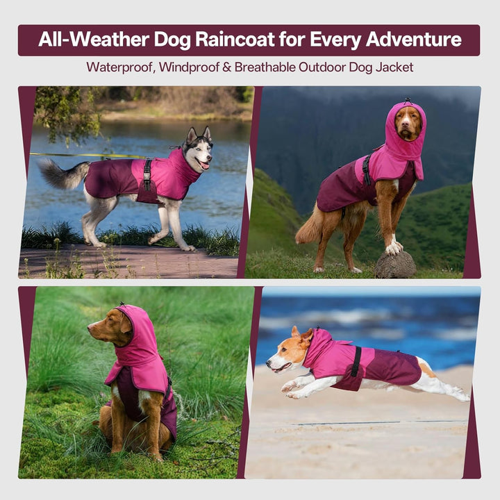 Hunde-Regenmantel für mittelgrosse Hunde mit Kapuze, wasserdicht, reflektierend, mit verstellbarem K