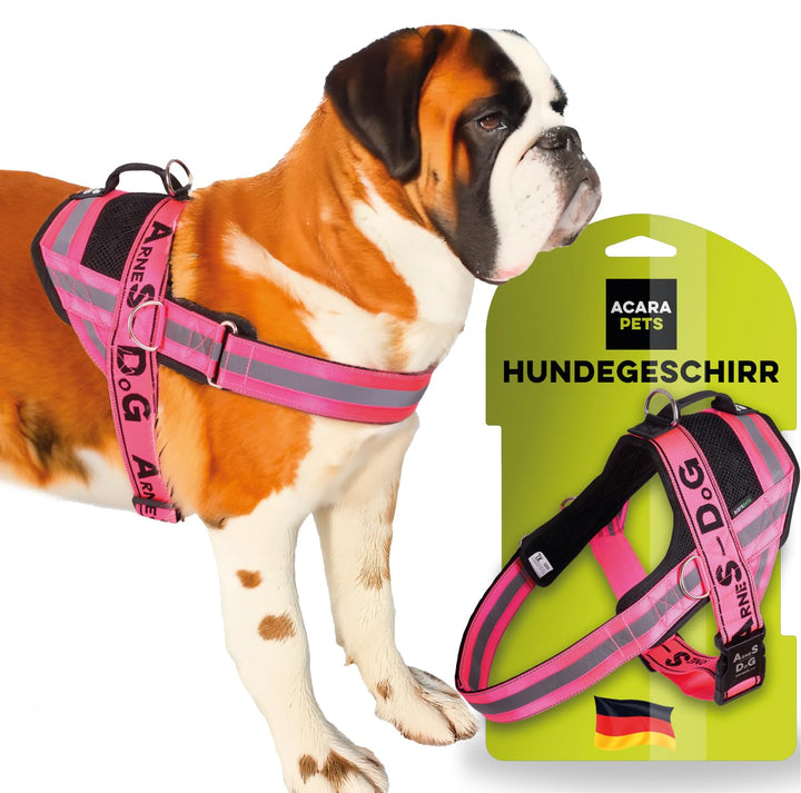 Hundegeschirr mit 3 Metallösen zur Befestigung Ihrer Brust oder Ihres Brustgurts, um Ihren Hals Nich