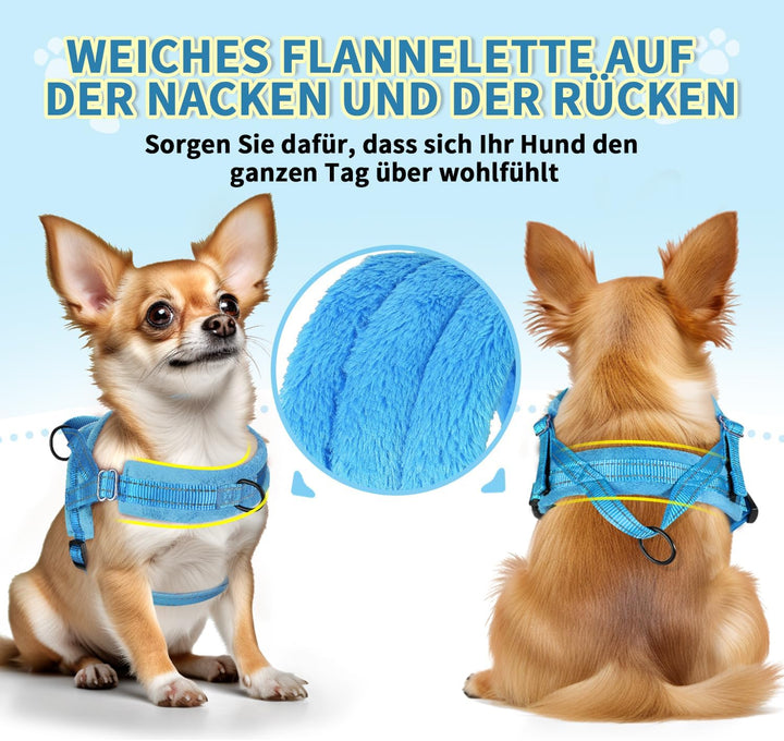 Eyein Hundegeschirr mit Leine für mittelgrosse Kleine Hunde, Weich gepolsterter No-Pull Brustgeschir