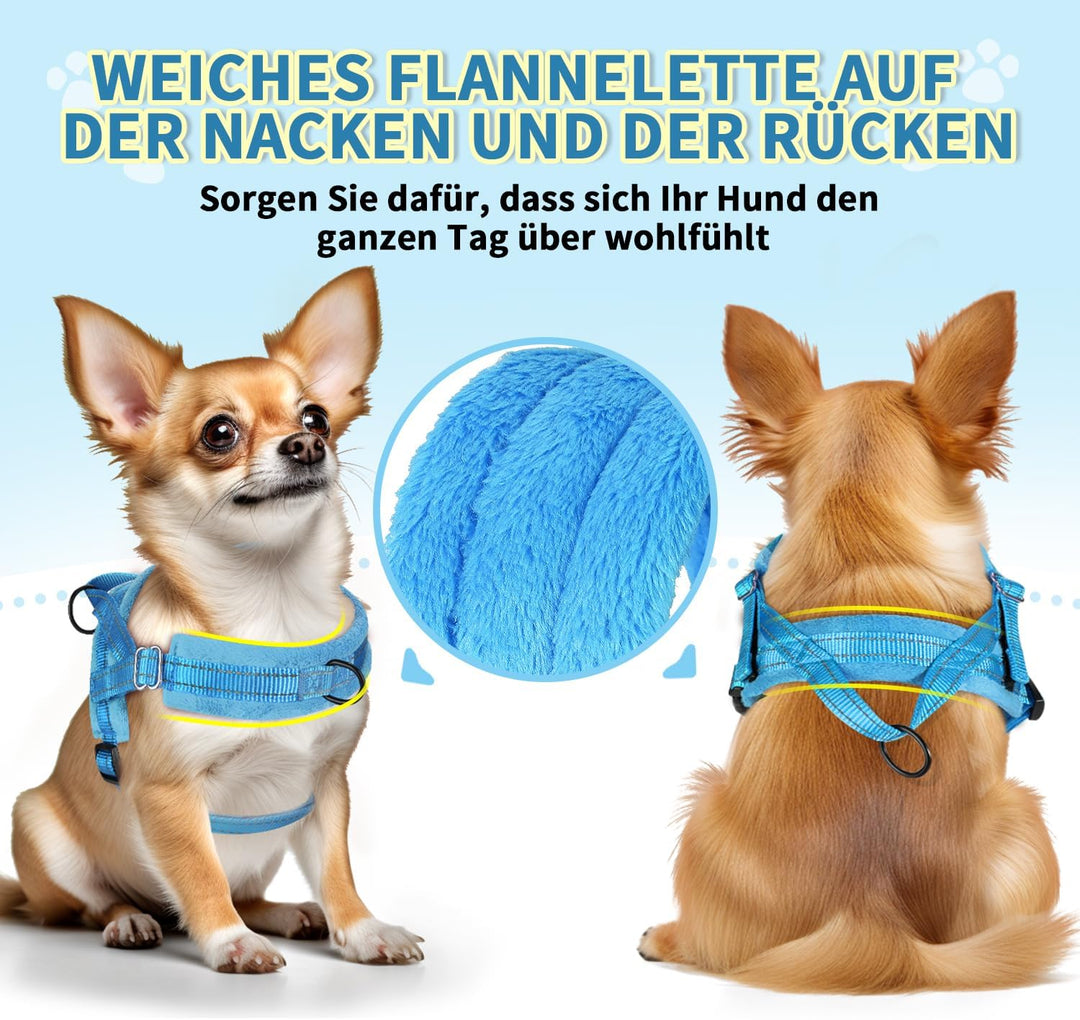 Eyein Hundegeschirr mit Leine für mittelgrosse Kleine Hunde, Weich gepolsterter No-Pull Brustgeschir