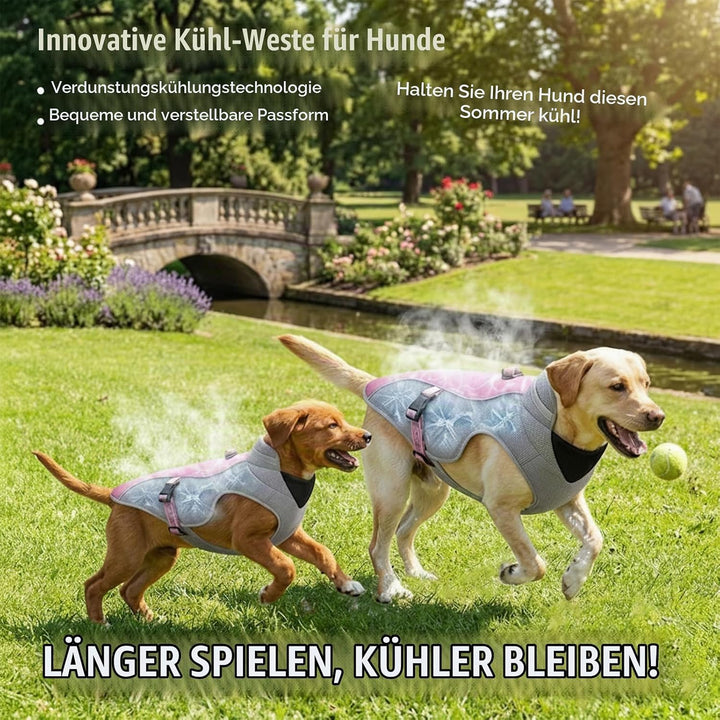 Verbesserte Hundekühlweste mit Geschirr D-Snap, Sonnenschutz für den Sommer beim Laufen - Reflektier